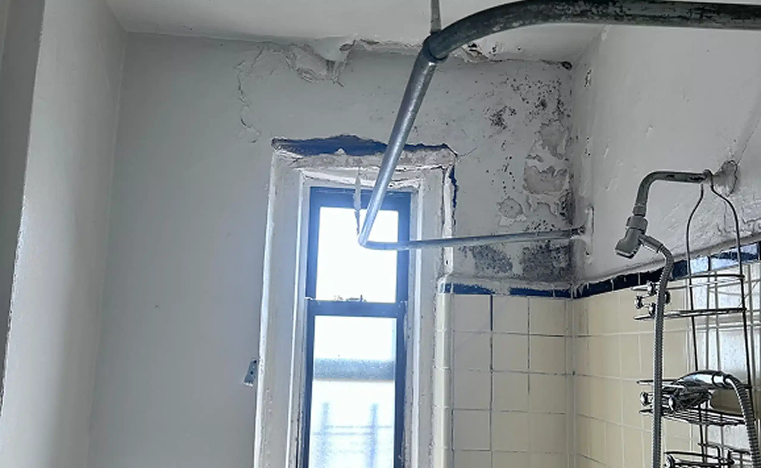 Bathroom mold before remediation — peeling paint and black mold on ceiling